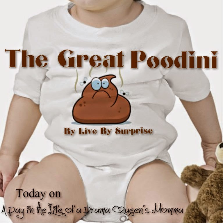 The Great Poodini - A Day in the Life of a Drama Queen's Momma